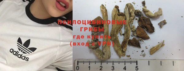 стафф Янаул