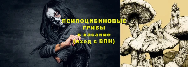 дмт Козловка